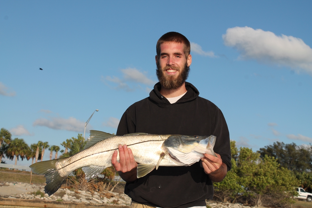 Most Common Fish Species You Can Catch in Tampa Bay