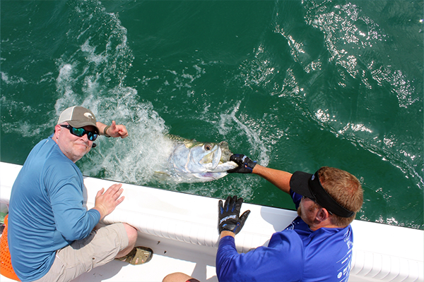 Tarpon Fishing Trips