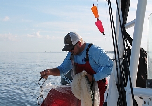 Cast Net Pics