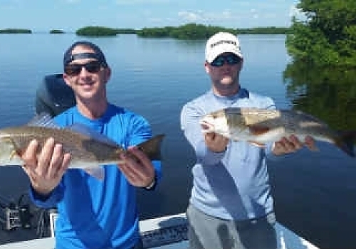 Redfish PIcs