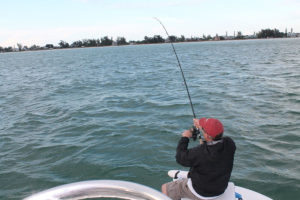 fishing tampa bay